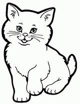 Boyama Kedi Sayfası Sayfaları Resmi Hayvan Etkinlikleri Hayvanlar çizimi Yazdır Renkli Kaynağı Makalenin Cat sketch template