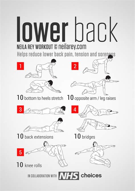 Lower Back Workout Neila Rey Workout Lower Back Exercises Back Workout