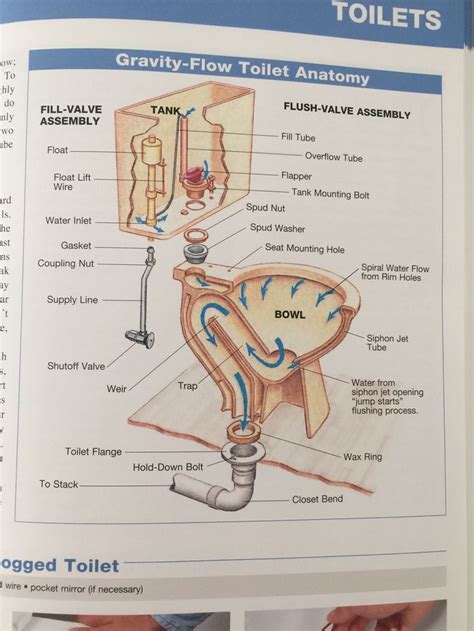 toilet diagram flush valves fill valve home ownership