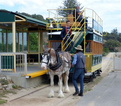 victor harbor horse drawn tram top tips    updated