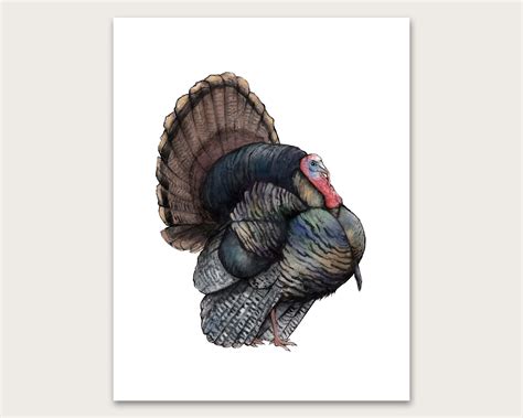 wild turkey art print etsy turkey art art prints original
