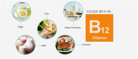 B12 Rich Foods ~ Vitamin B 12 Foods For Vegetarians And Vegans Vuyour