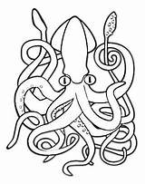 Squid Whale Colossal Kunjungi sketch template