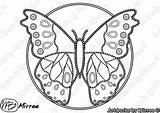 Colouring Aboriginal Butterfly Dreamsofcreation sketch template