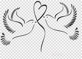 Wedding Clipart Dove Doves Transparent Bird Clip Graphics Line Library Coloring Table Clipground sketch template