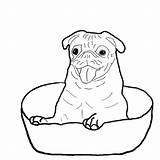 Pug Coloring Pages Pugs Baby Dog Bowl Color Inside Happy Puppies Printable Print Outline Dogs Drawing Boxer Getcolorings Outlines Books sketch template