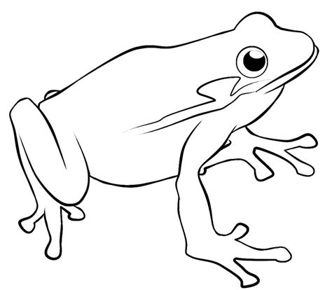 printable frog coloring pages coloring  clipart  clipart