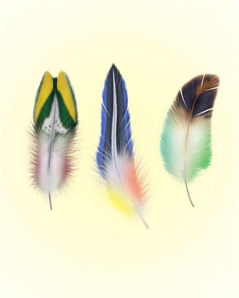 feathers digital art  mark ashkenazi