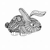 Doodle Rabbit Antistress sketch template