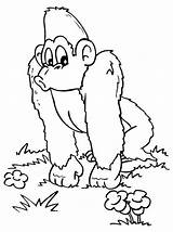 Coloring Pages Monkey Gorilla Cute Printable Template Gianfreda Awesome Sheet Banerjee Kleurplaten Popular Coloringhome Aap Coloringpages1001 Coloringme Previous sketch template