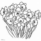 Coloring Spring Daffodil Pages Flower Printable Color Flowers Print Kids Click Inch Para Primavara Browser Then Paper Imagenes sketch template