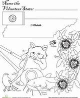 State Tennessee Mystery Coloring Printable Pages Tn Symbols Flag Name Open sketch template
