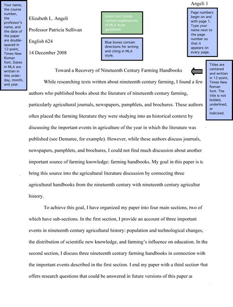 sample  format essay   write  outline   format