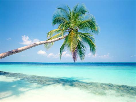 tropical island wallpapers hd wallpapers id