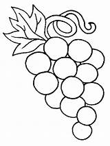 Grapes Coloring Grape Pages Printable Color Colouring Vine Getcolorings Print sketch template