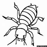 Coloring Insects Bug Insect Bugs Pages Outline Printable Potato Termite Creature Clipart Clipartmag sketch template