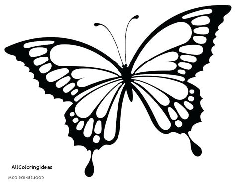 butterfly coloring pages  adults  getdrawings