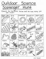 Scavenger Science Hunts Camping Hbarsci sketch template