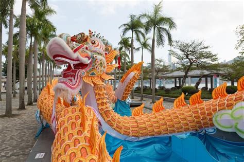 chinese dragon  chinese  year  hong kong chinese dragon  chinese  ad hong