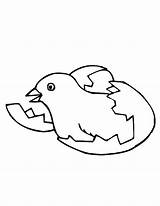 Hatching Egg Coloring Chick Pages Drawing Getdrawings sketch template