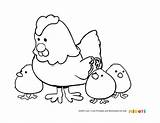 Coloring Chicken Pages Open sketch template