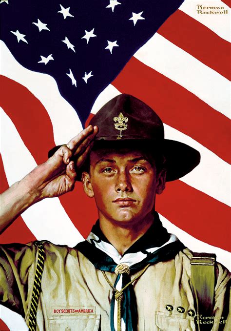 boy scouts american profile