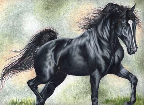 horse equine art      colored pencil