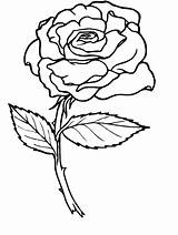 Coloring Rose Pages Teenagers Getcolorings sketch template