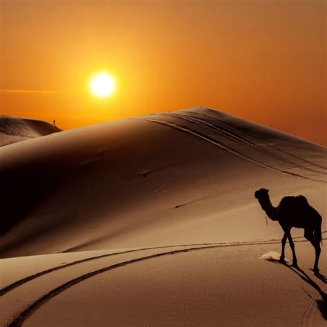 sunset   desert mountains  sand wallpaper