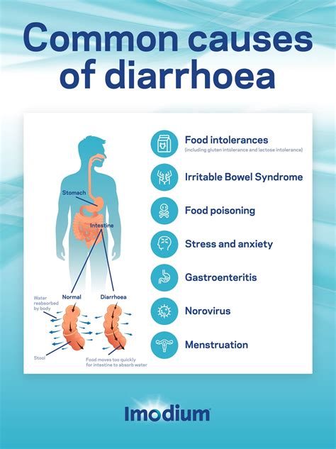 diarrhoea imodium