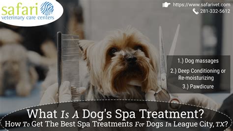dogs spa treatment      spa treatments