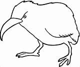 Kiwis Kolorowanki Pajaros Desenhos Strusie Emu Cliparts Coloringbay Estranhos sketch template