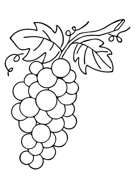 printable grape coloring pages grape coloring pictures