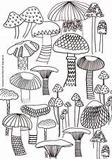 Sheets Adult Mushrooms Pilz Fungi Pilze Zeichnung Mandala Ausmalen Ausdrucken Doodle Trippy sketch template