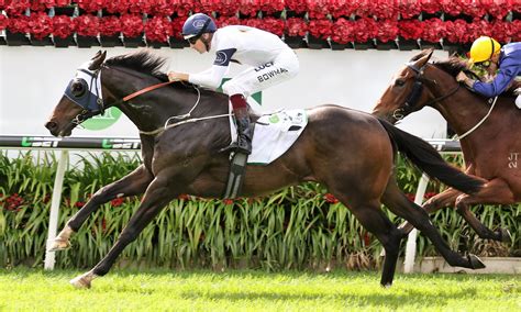 healy stakes a likely target for burning passion sports news australia