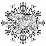 Bear Zentangle Baby Style Illustration Vector Polar Arctic sketch template