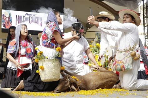 festival de la matanza podria ser virtual por culpa del covid municipios puebla noticias