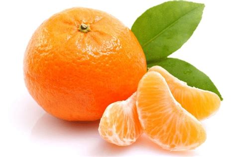mandarin season     expect foods trend