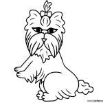 yorkie coloring pages  printable coloring pages