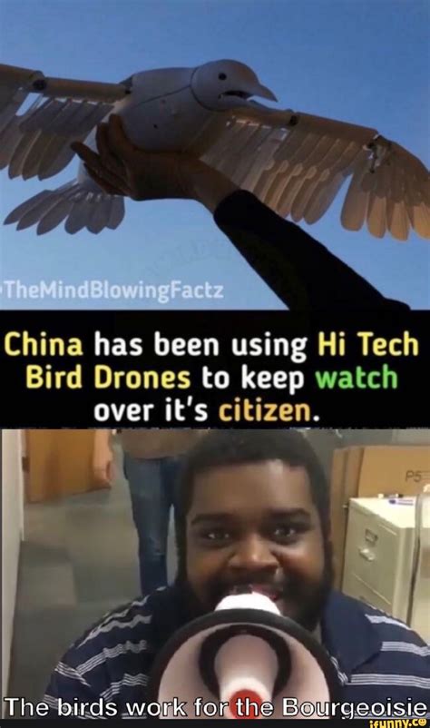 china     tech bird drones