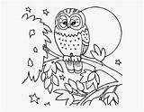 Pngitem Burung Hantu Mewarnai Sketsa sketch template