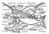 Coloring Adult Colouring Narwhal Book Instant sketch template