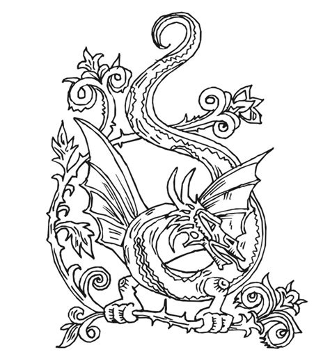 dragon coloring pages  adult  dragon adult coloring pages