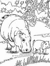 Hippos Fun Kids Coloring Pages sketch template