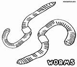 Worm Coloring Pages Drawing Printable Earthworms Choose Board Getdrawings Designlooter Animal sketch template