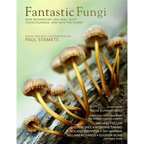 fantastic fungi how mushrooms can heal shift consciousness and save