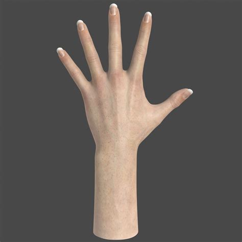 realistic female hand  max