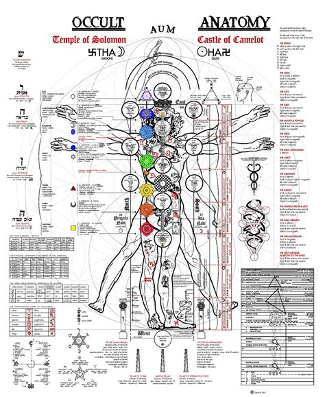 fascinating illustration   occult anatomy  man aleph