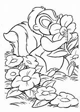 Bambi Beest Malvorlagen Primavara Colorat Kleurplaten Coloriages Biest Kleurplaat Blume Sympa Planse Tierfiguren Bamby Tambor Malvorlage Colorier Schone Adultes Kolorowanki sketch template