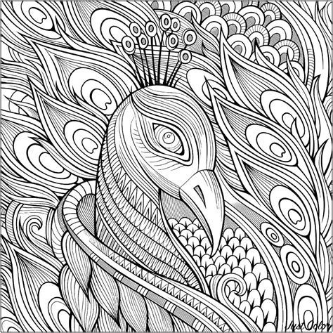 beautiful peacock head peacocks kids coloring pages